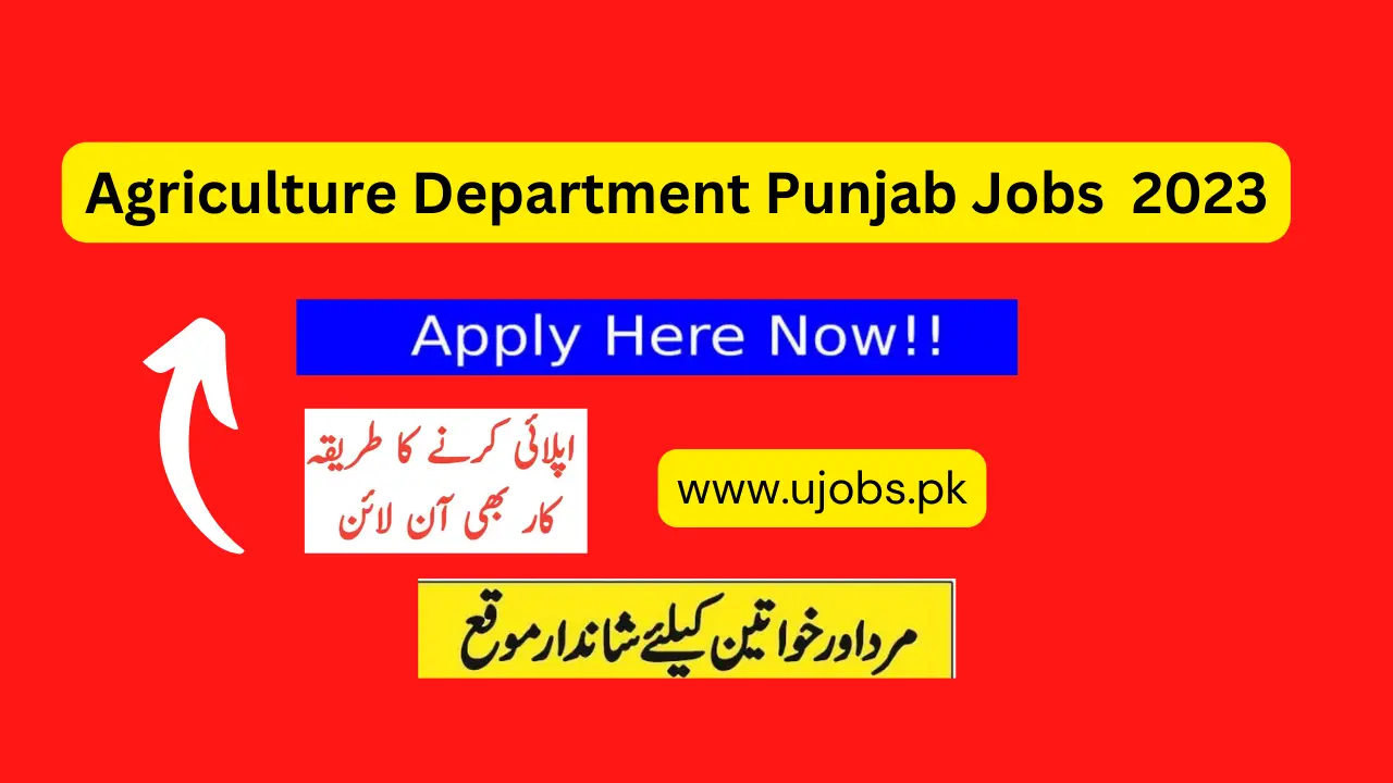 Agriculture Department Punjab Jobs January 2023