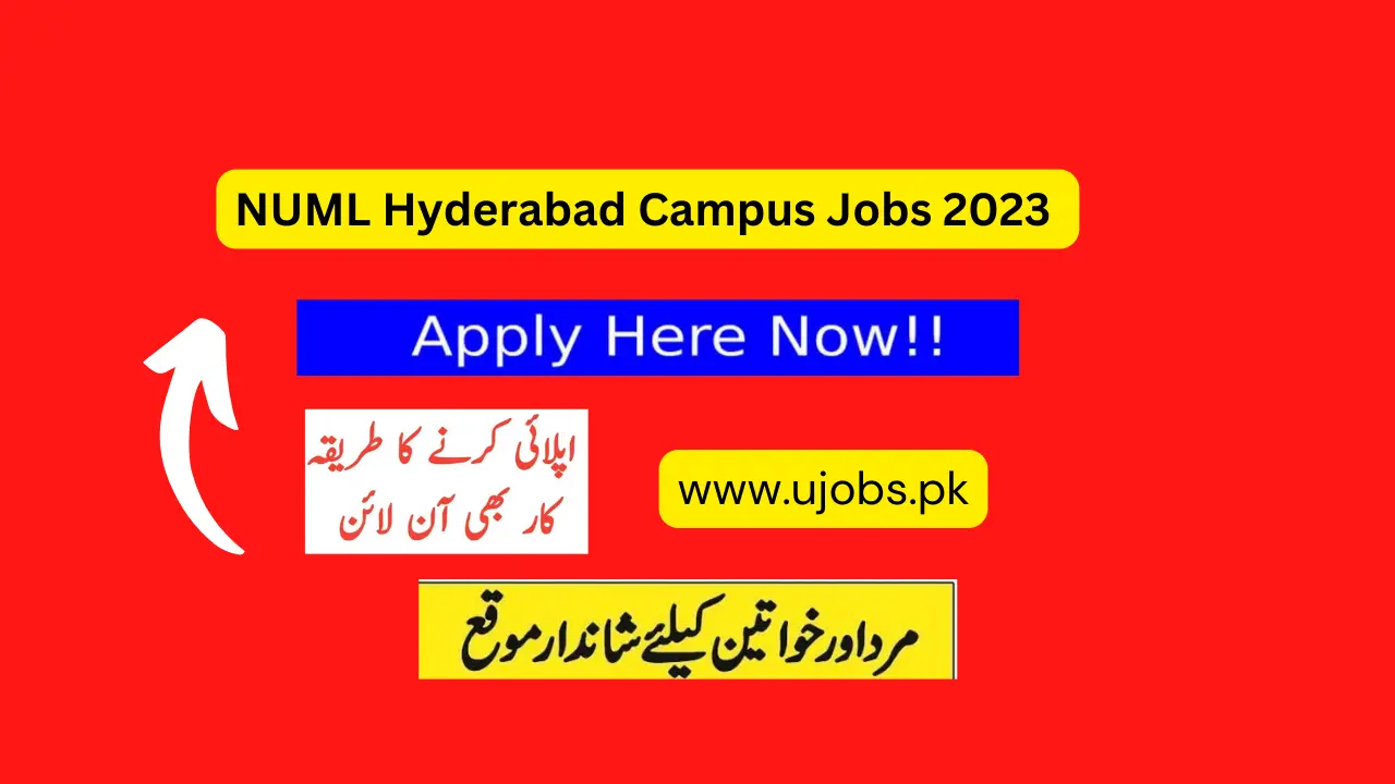 NUML Hyderabad Campus Jobs 2023
