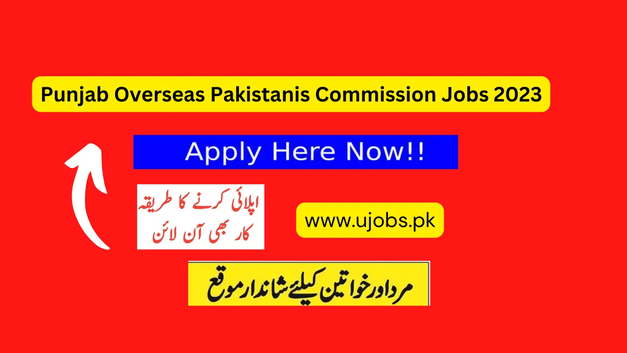 Punjab Overseas Pakistanis Commission Jobs 2023