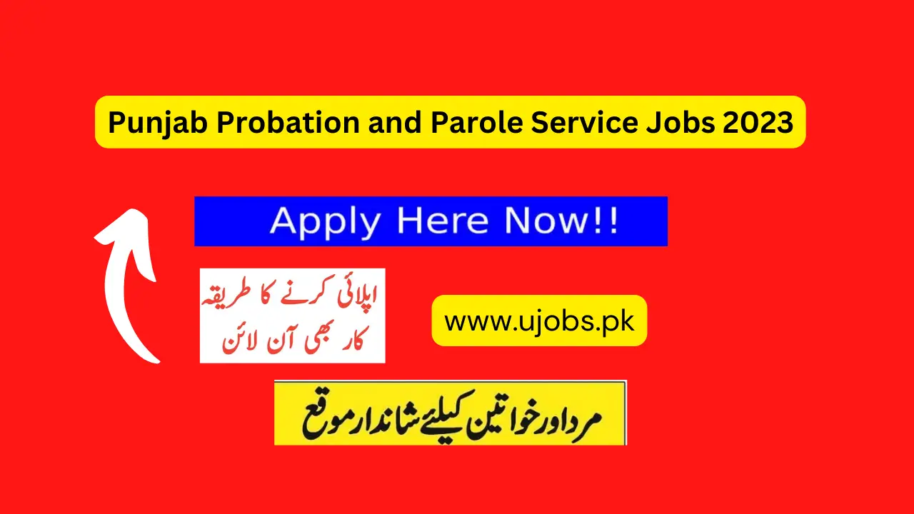 Punjab Probation and Parole Service Jobs 2023