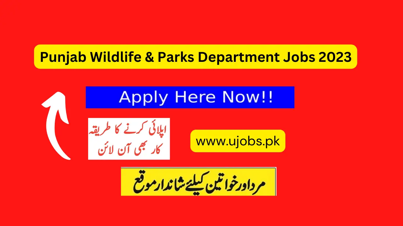Punjab Wildlife & Parks Department Jobs 2023