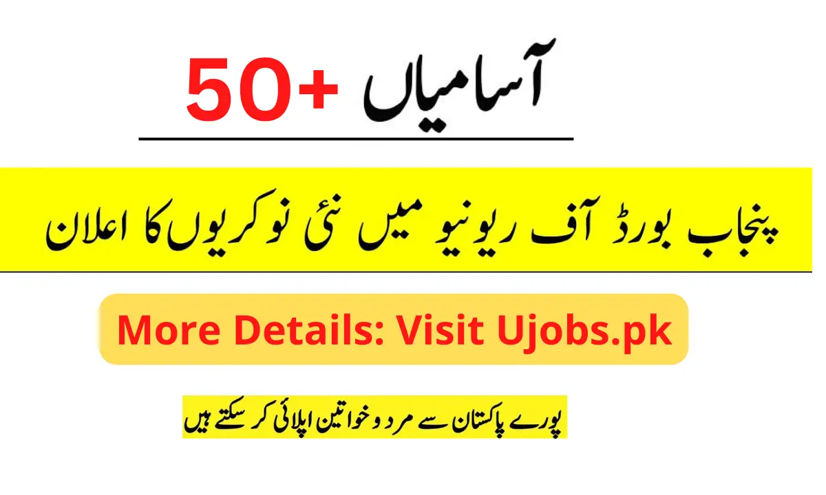 Board of Revenue Punjab Jobs 2023 – Apply Online Via bor.punjab.gov.pk